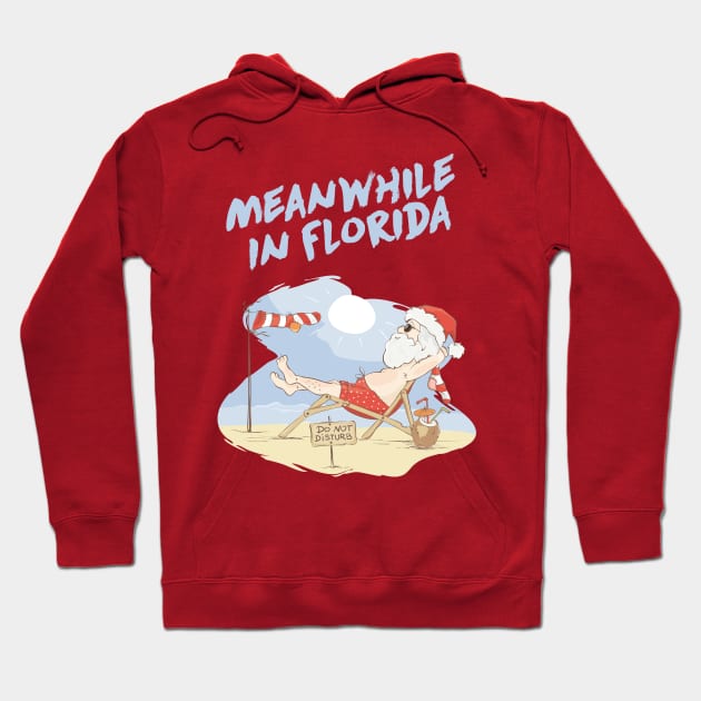 Meanwhile In Florida Meme Beach Santa For Boys Hoodie by geekandgamerstore